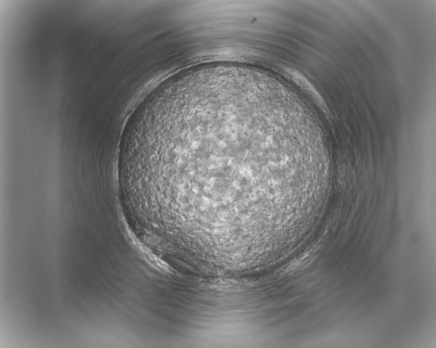 X0000074300938200609222331