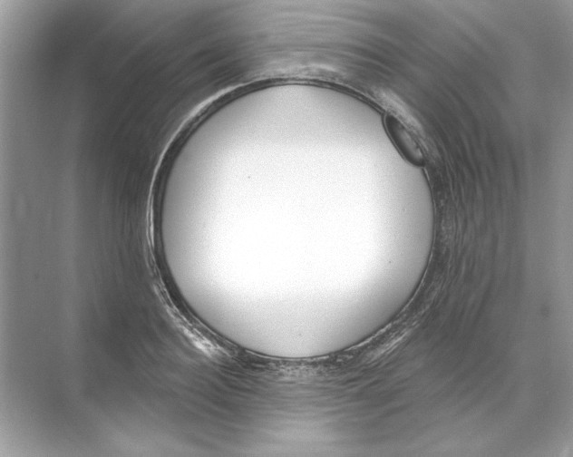 X0000074300940200609222331