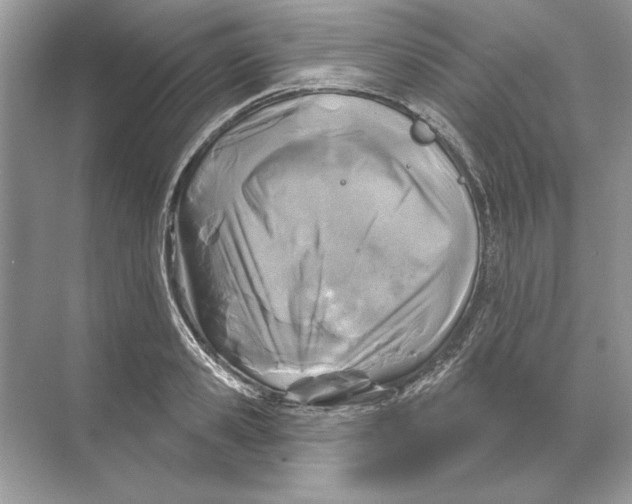 X0000074300941200609222331