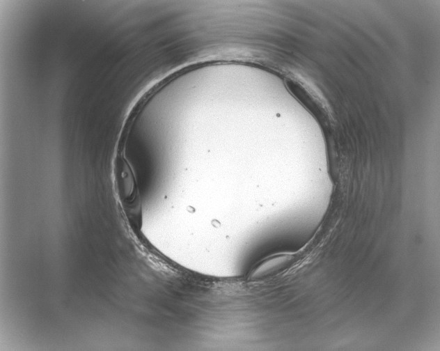 X0000074300944200609222331