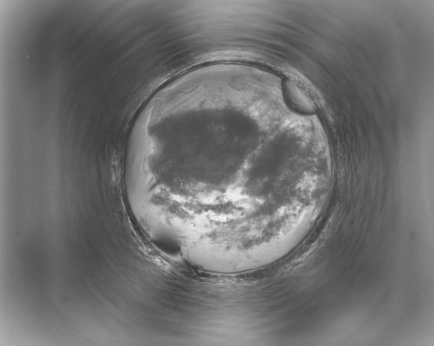 X0000074300945200609222331