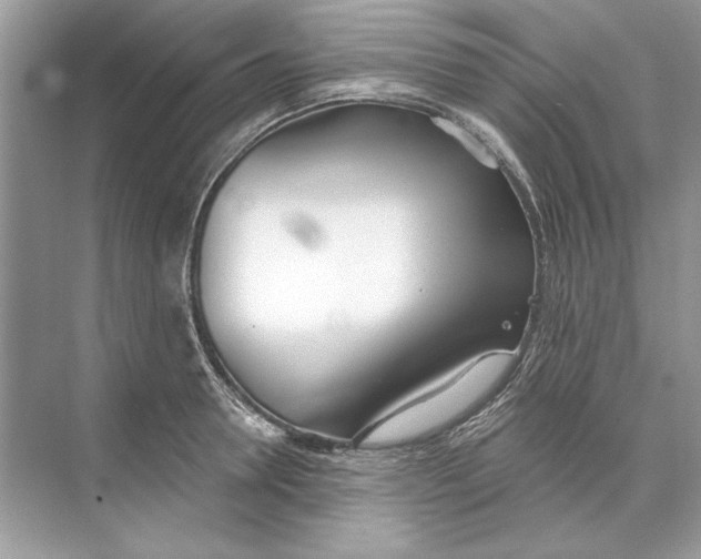 X0000074300946200609222331