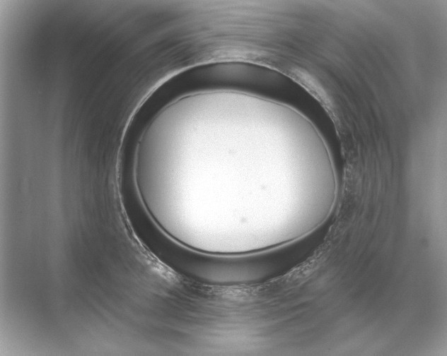 X0000074300948200609222331