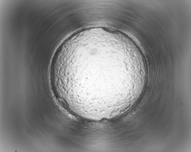 X0000074300949200609222331