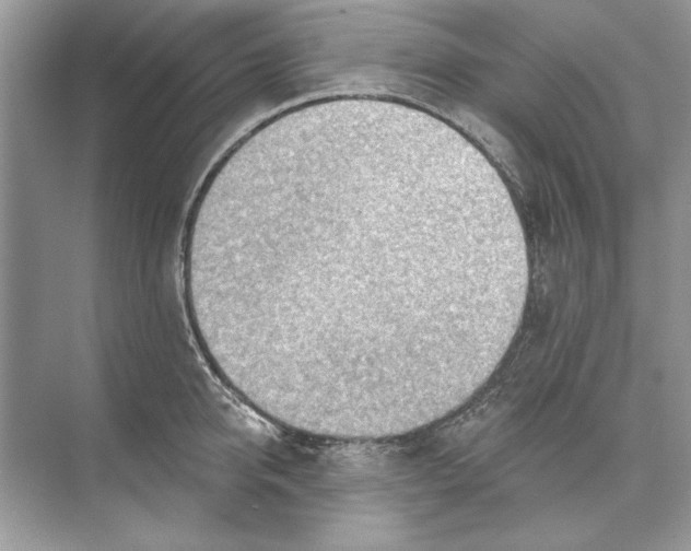 X0000074300950200609222331