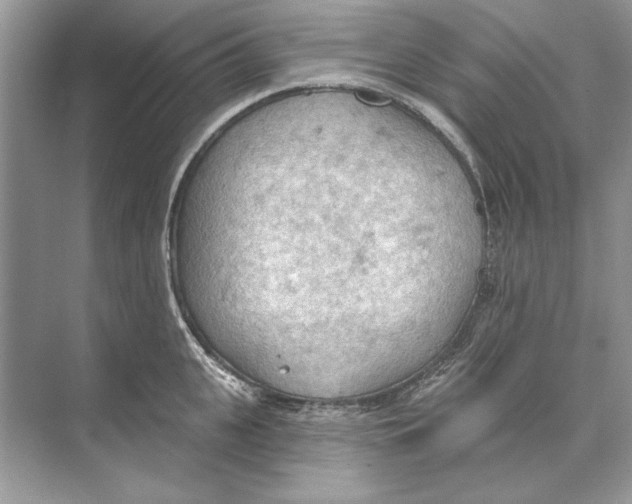 X0000074300951200609222331