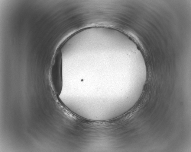 X0000074300952200609222331