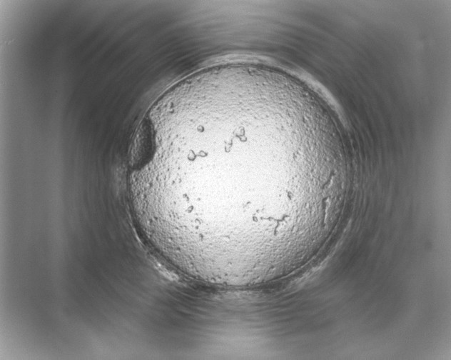 X0000074300953200609222331