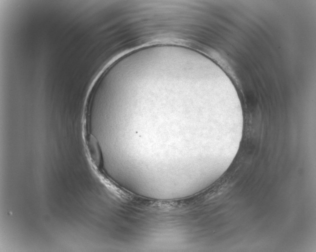 X0000074300955200609222331