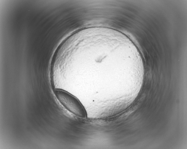 X0000074300957200609222331