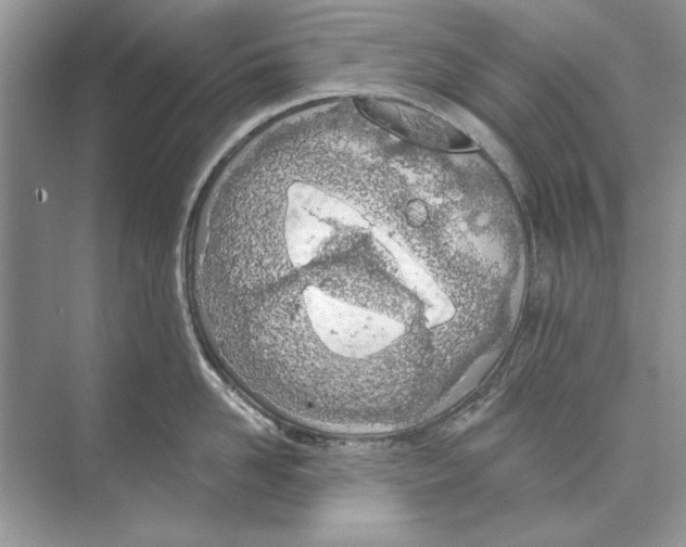 X0000074300958200609222331