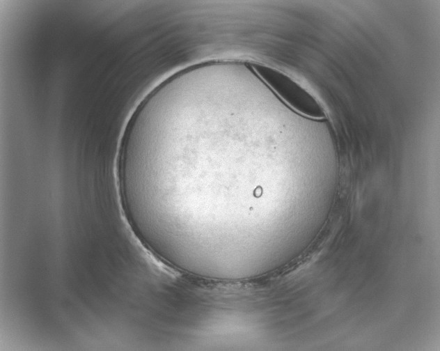 X0000074300959200609222331