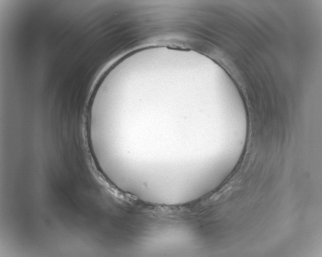 X0000074300960200609222331