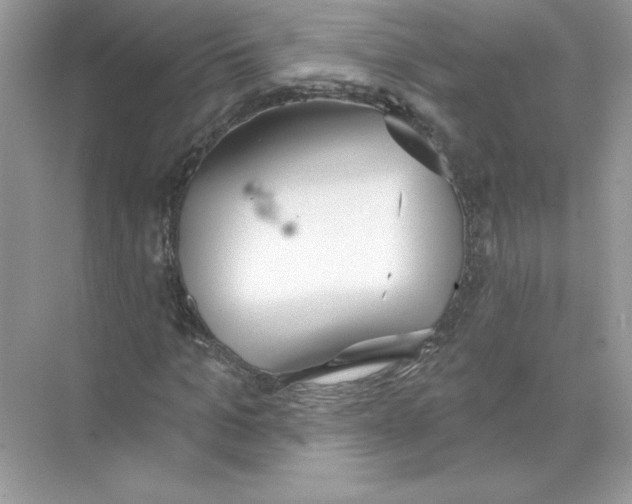 X0000074300965200609222331