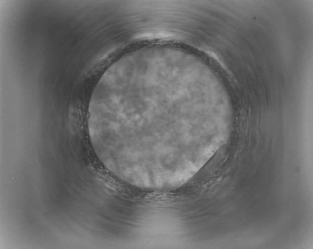 X0000074300967200609222331