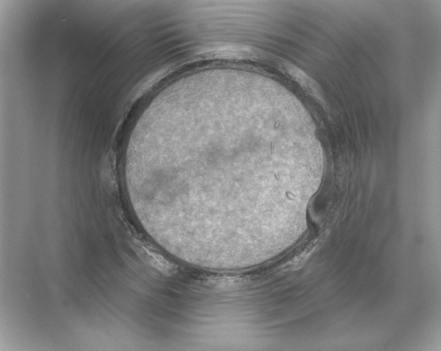 X0000074300970200609222330