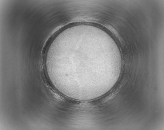 X0000074300974200609222330