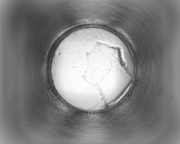 X0000074300975200609222330