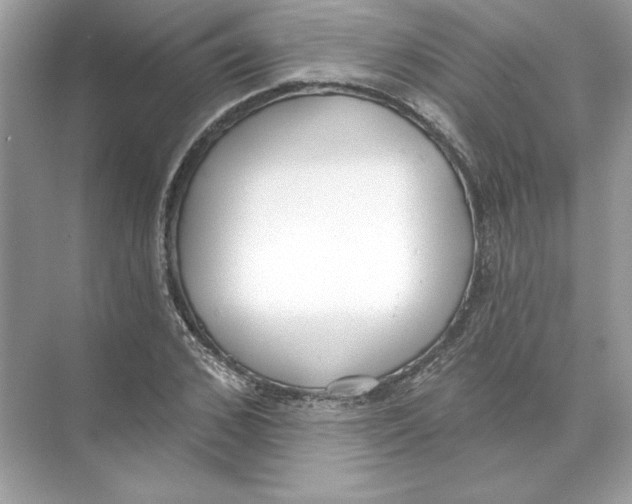 X0000074300976200609222330