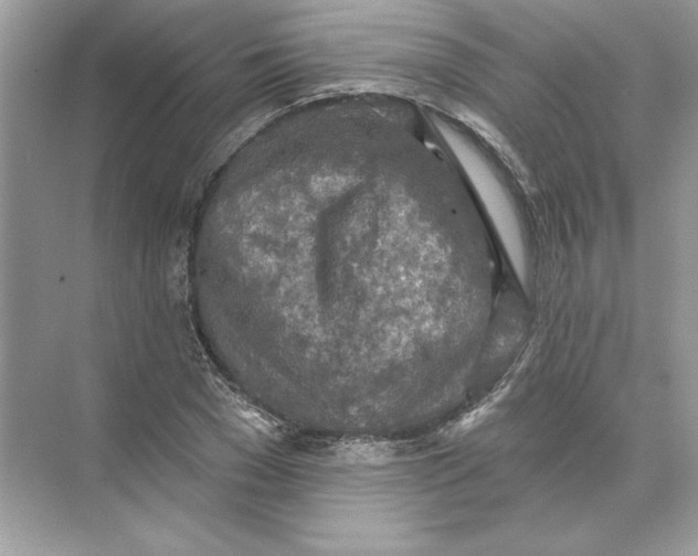 X0000074300977200609222330