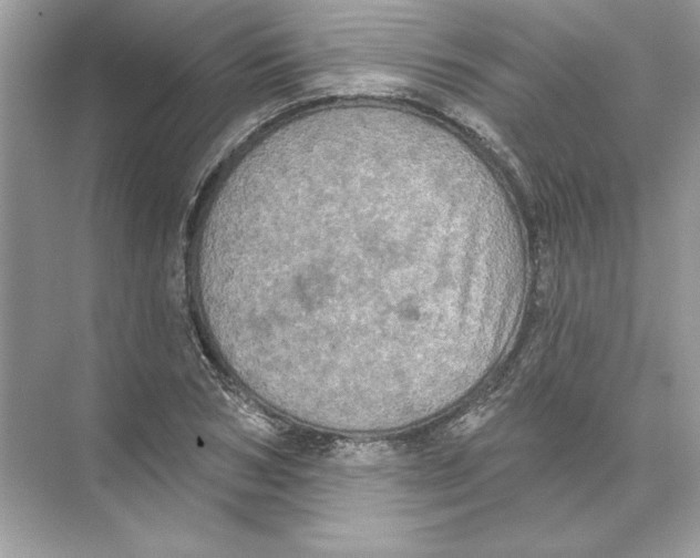 X0000074300978200609222330