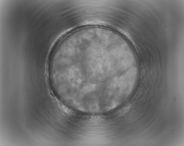 X0000074300979200609222330