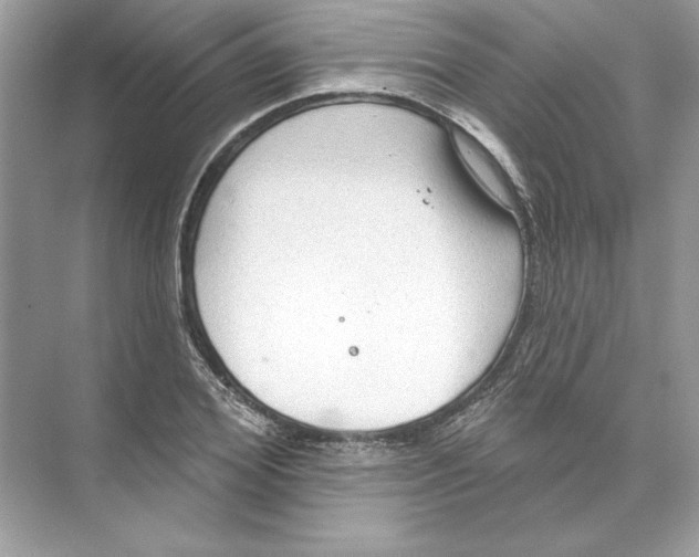 X0000074300980200609222330