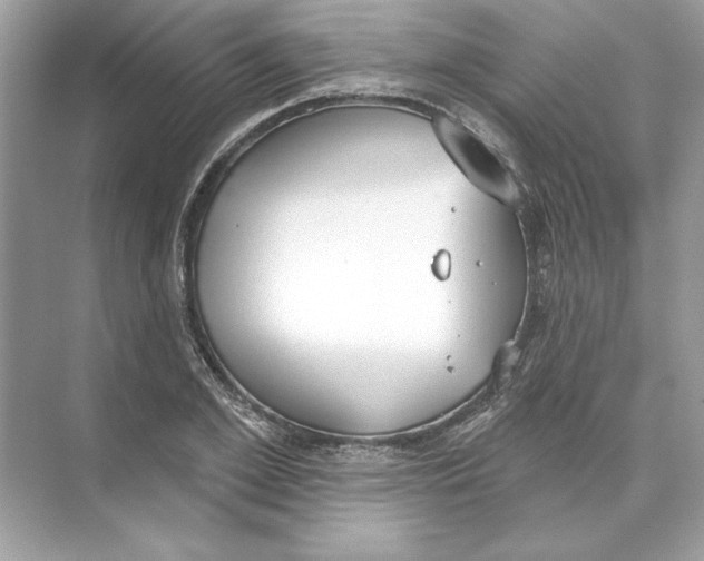 X0000074300981200609222330