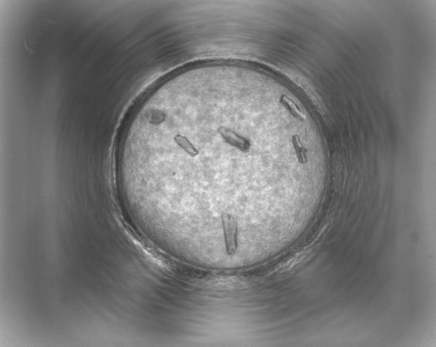 X0000074300982200609222330