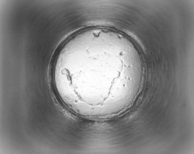 X0000074300983200609222330