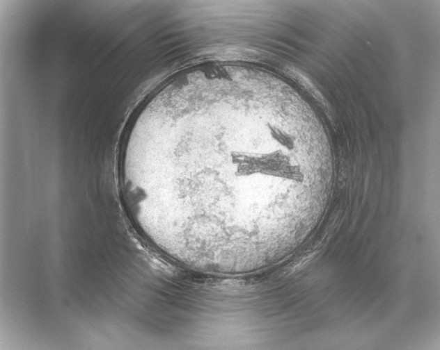 X0000074300986200609222330