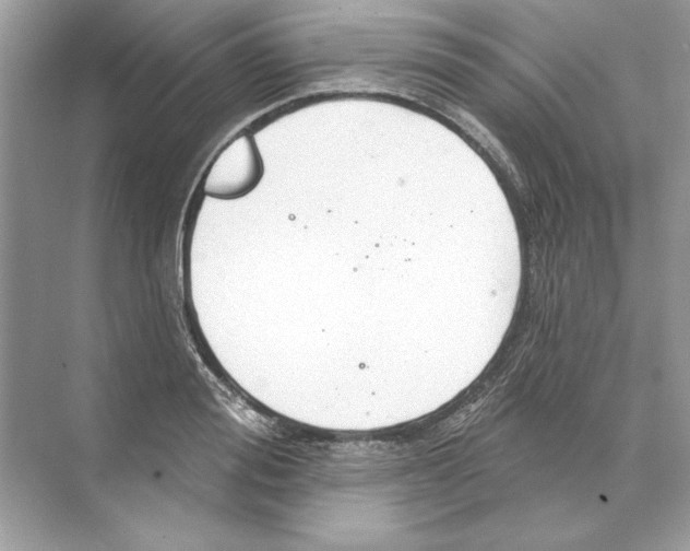 X0000074300988200609222330