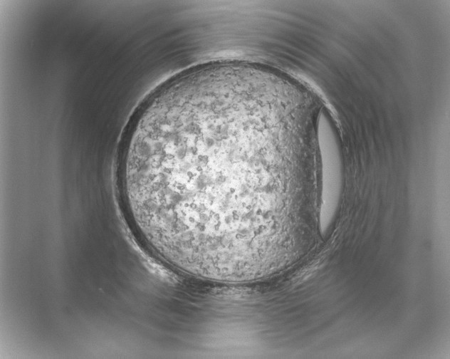 X0000074300991200609222330