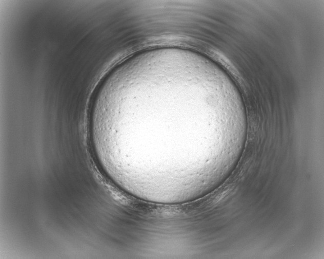 X0000074300994200609222330