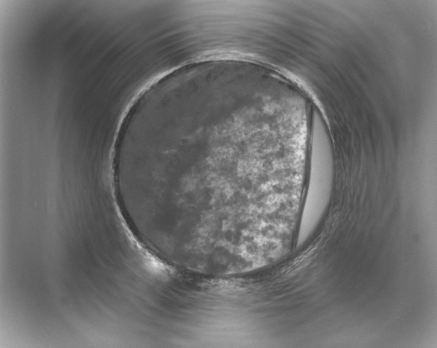 X0000074300995200609222330