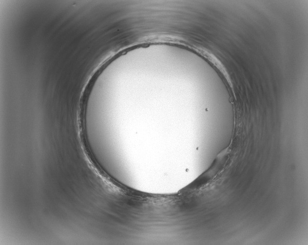 X0000074300997200609222330