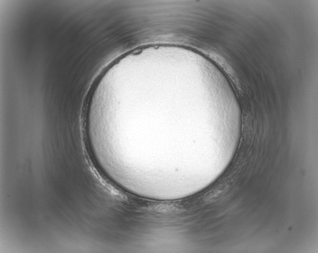 X0000074300998200609222330