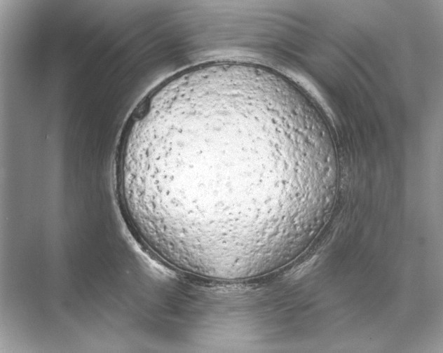 X0000074300999200609222330