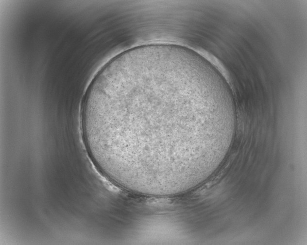 X0000074301006200609222330