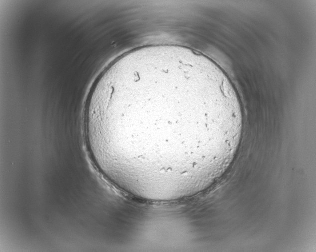 X0000074301008200609222330