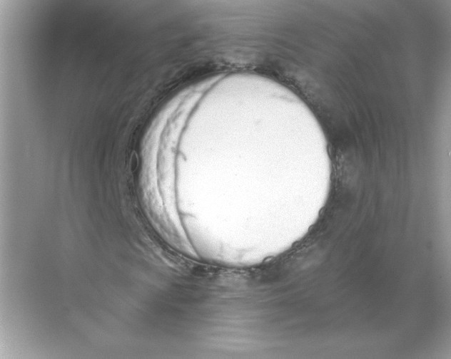 X0000074301009200609222329