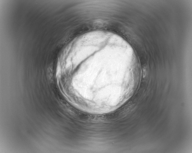 X0000074301011200609222329