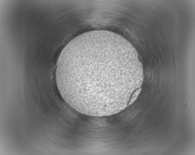 X0000074301012200609222329