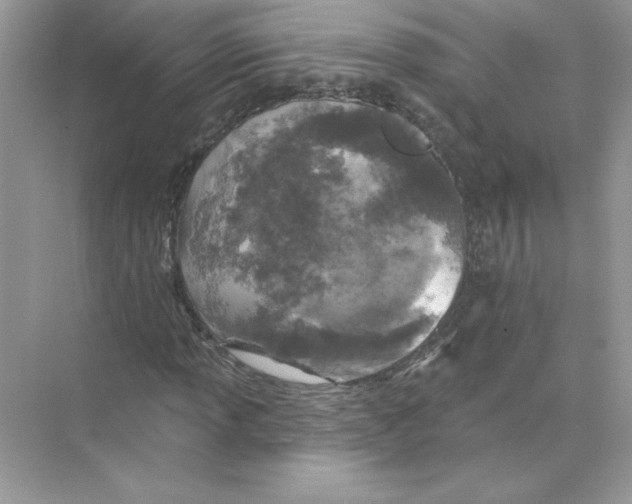 X0000074301013200609222329