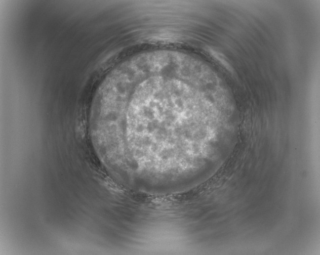 X0000074301015200609222329