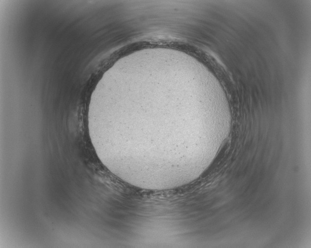 X0000074301016200609222329