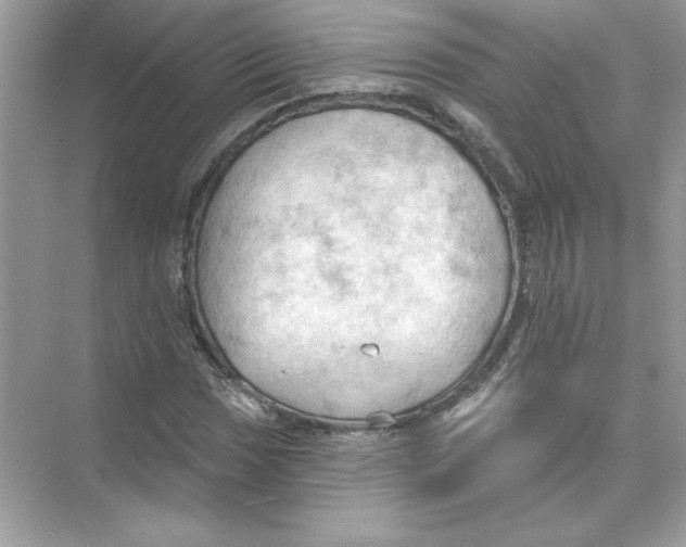 X0000074301017200609222329