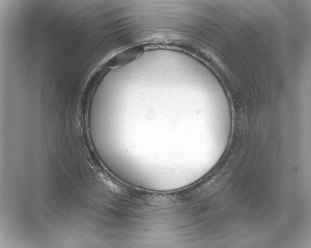 X0000074301018200609222329