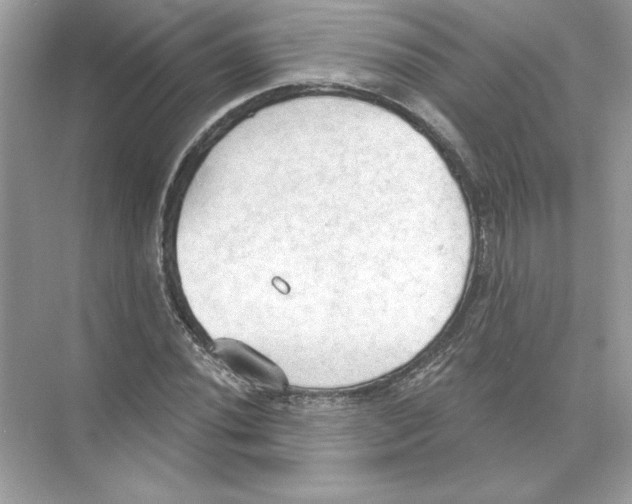 X0000074301020200609222329