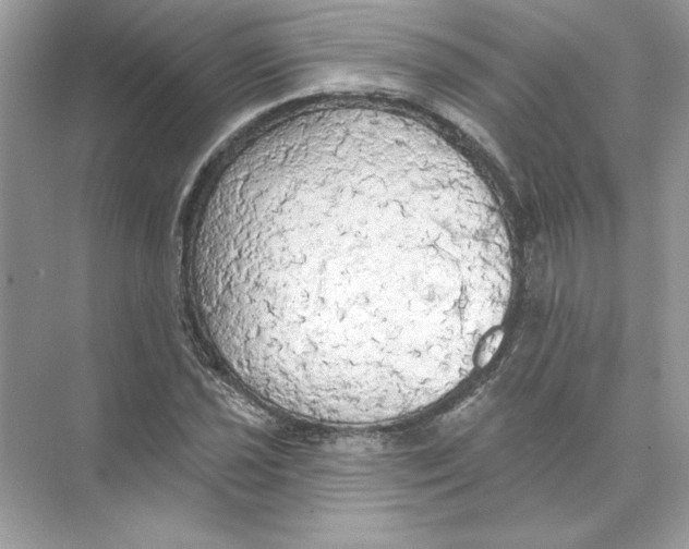 X0000074301021200609222329